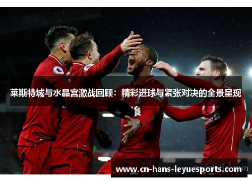莱斯特城与水晶宫激战回顾：精彩进球与紧张对决的全景呈现