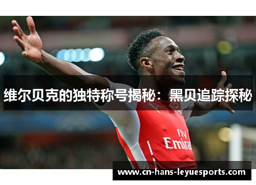 维尔贝克的独特称号揭秘：黑贝追踪探秘