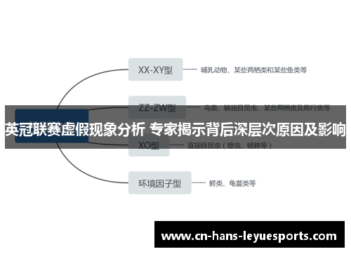 英冠联赛虚假现象分析 专家揭示背后深层次原因及影响 英冠联赛虚假现象分析 专家揭示背后深层次原因及影响