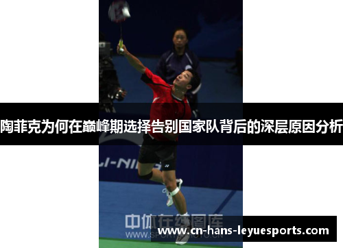 陶菲克为何在巅峰期选择告别国家队背后的深层原因分析